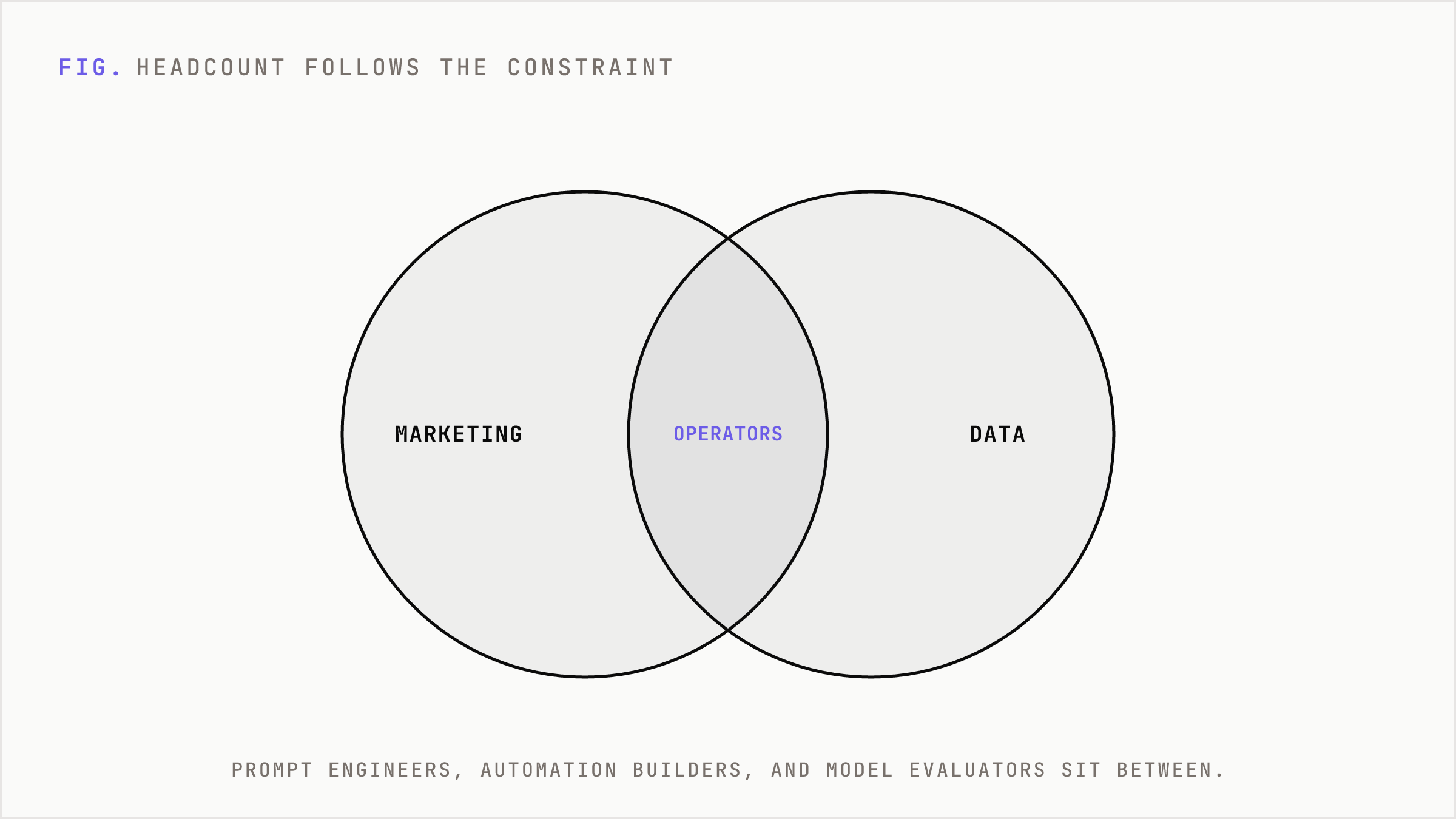 Hybrid roles sit in the overlap between marketing and data skills.